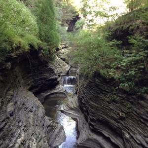 Meet your Posher, Tammy